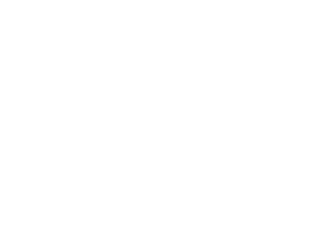 CRYSVITA logo